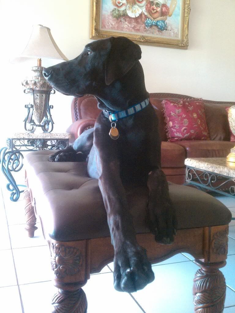 IMAG0087.jpg