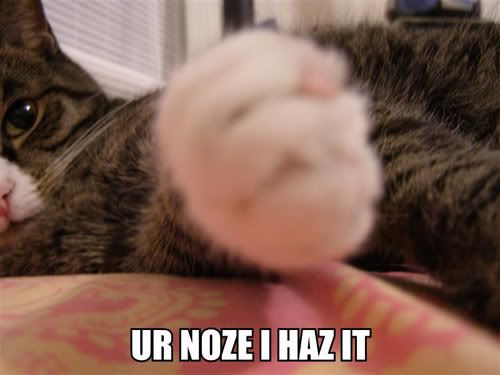 noze.jpg