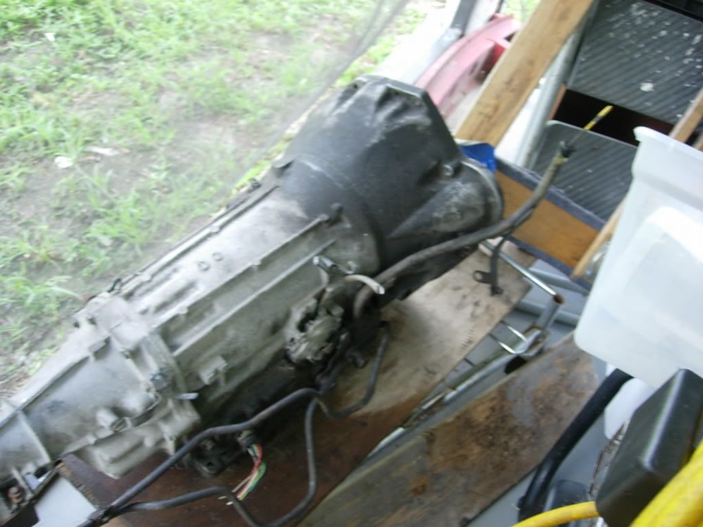 DSCN2965.jpg