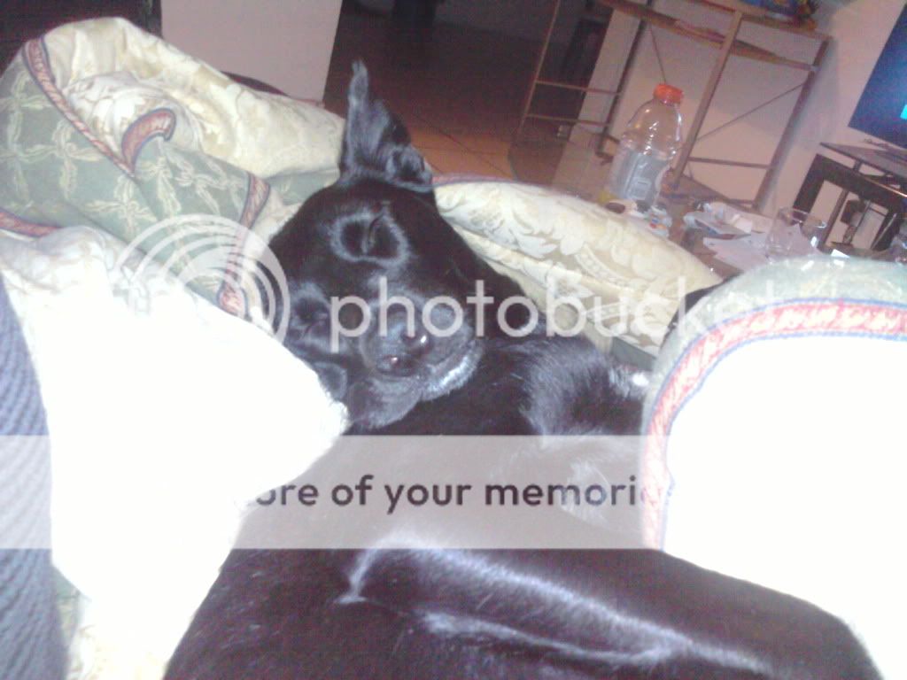 2010-11-23231241.jpg