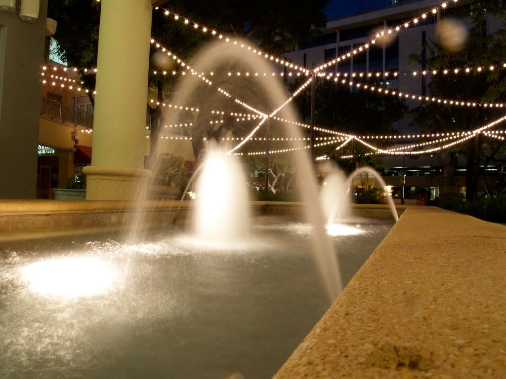 PB032361.jpg