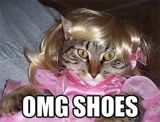 lolcatsdotcomj7s7xu4taiqxn7d8.jpg