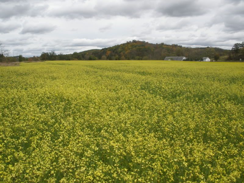 PA101085.jpg