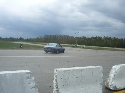 240shells020.jpg