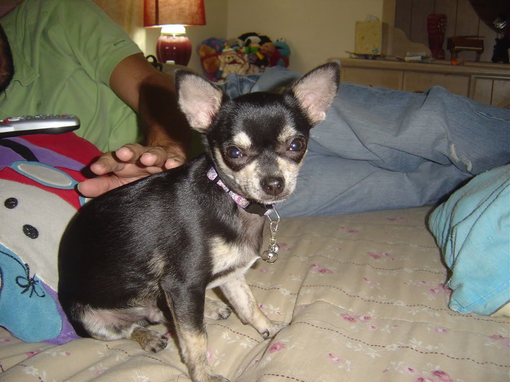 DSC09869.jpg