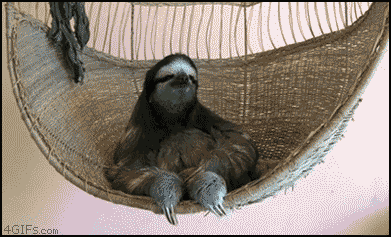 bgF7I.gif