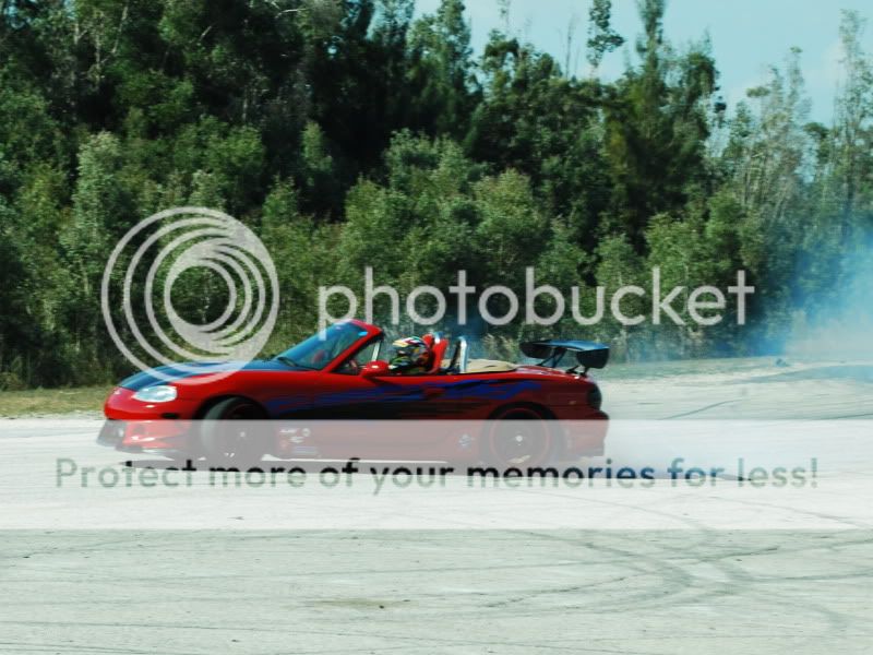 CSC_0264.jpg