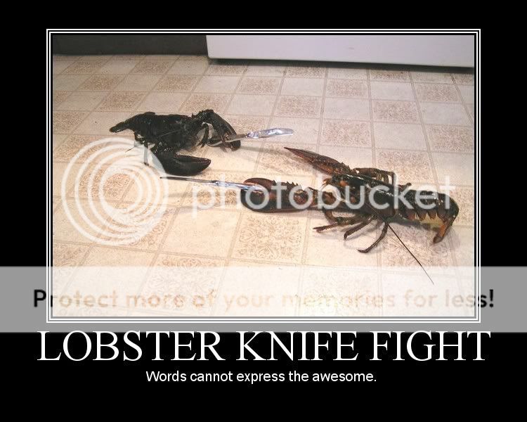 lobster.jpg