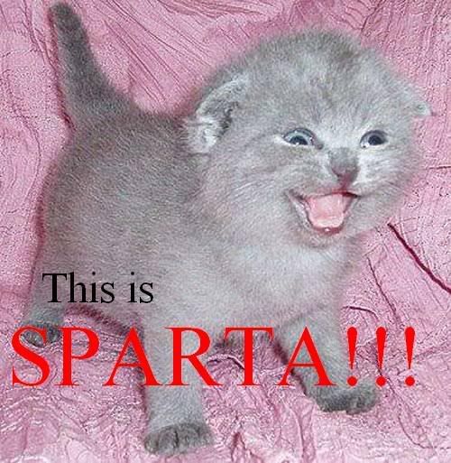 excited.jpg