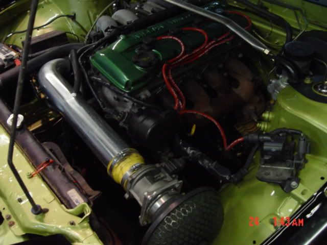 DSC01560.jpg