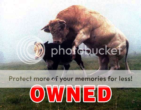 owned.jpg