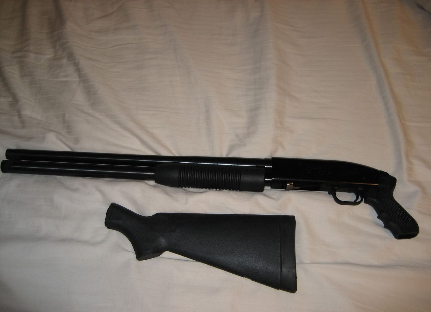 mynewtoy.jpg