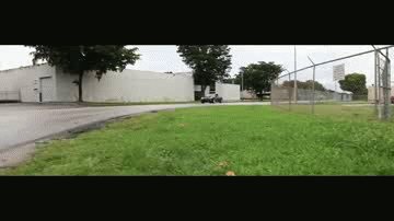 lg30.gif