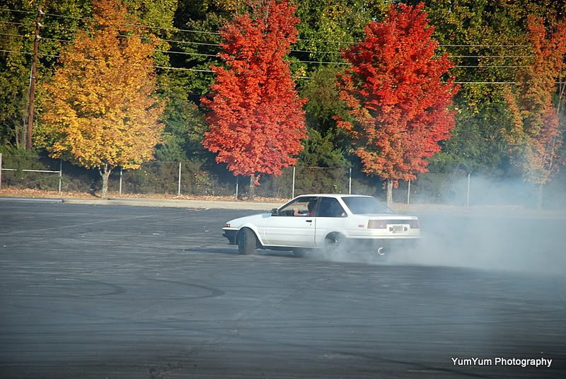 DSC_0087.jpg