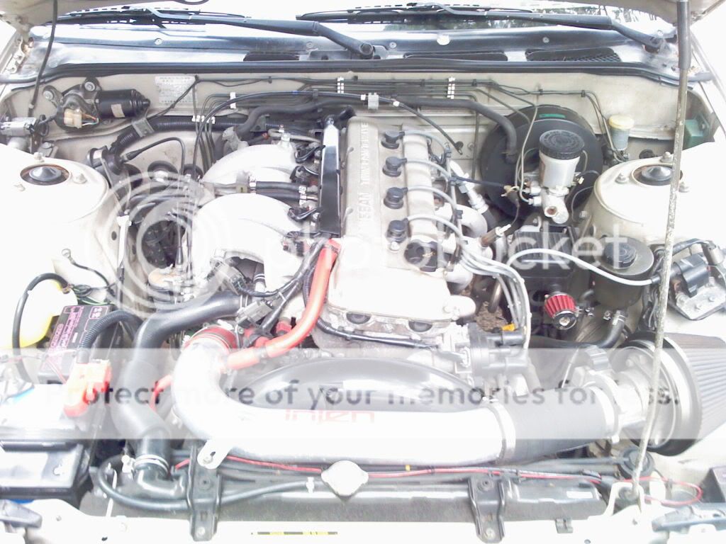 IMAG0049.jpg
