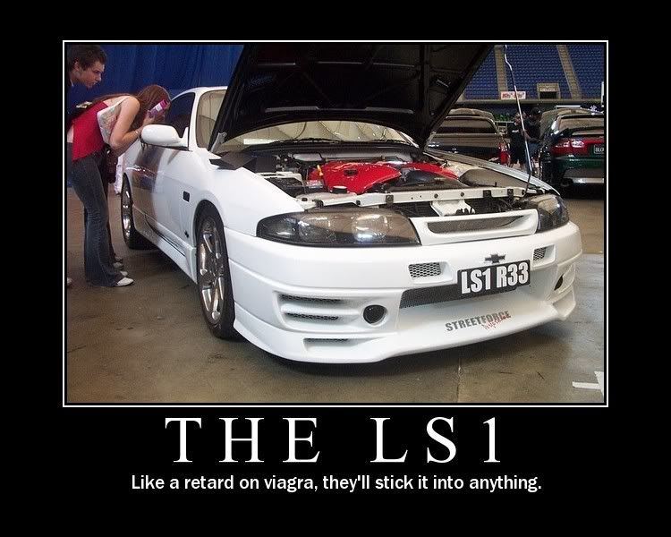LS11.jpg