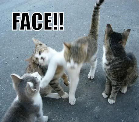 face.jpg