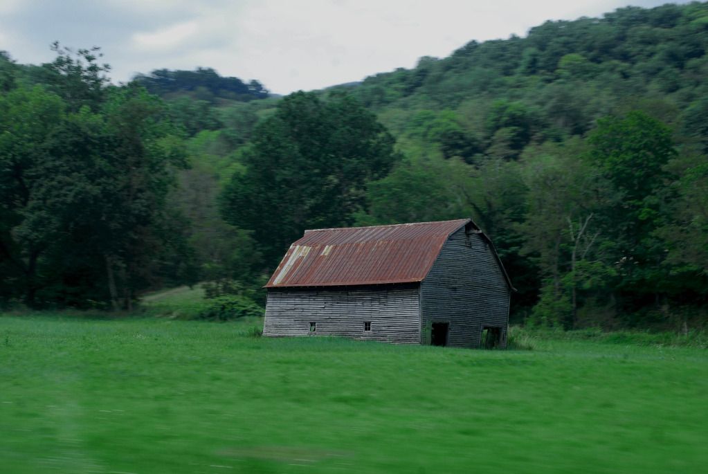 DSC_0573.jpg