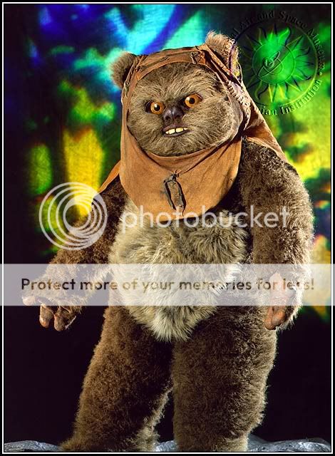 ewok.jpg