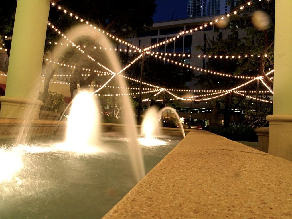 PB032360.jpg