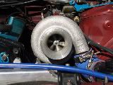 PB100049-1.jpg