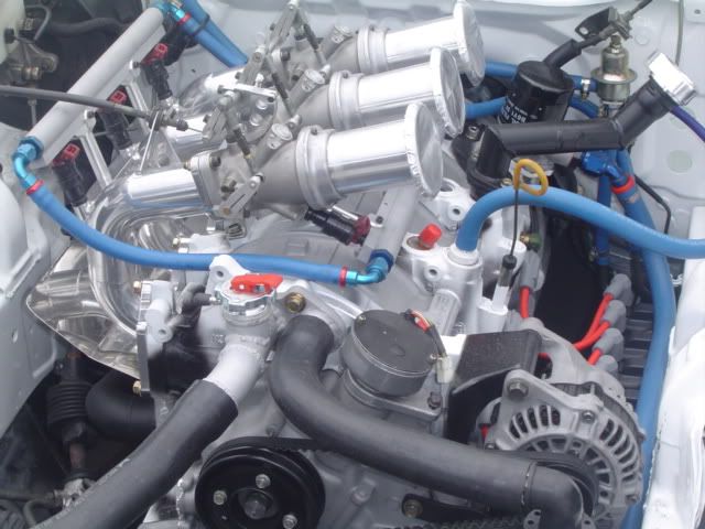 DSC01195.jpg