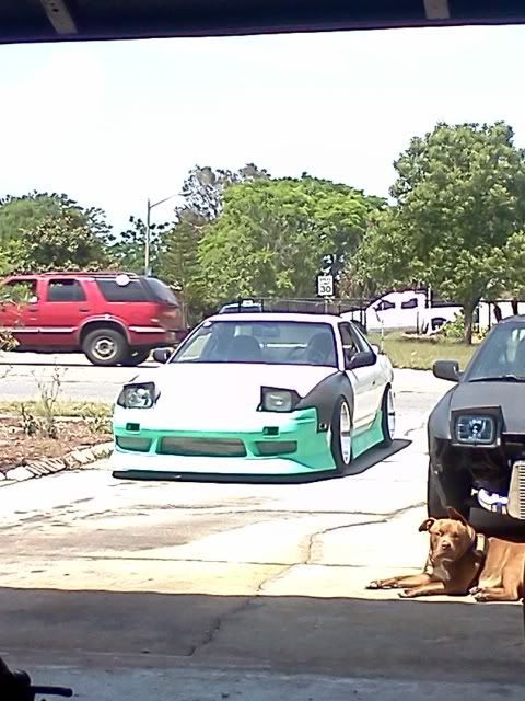 IMG_20110416_142055.jpg