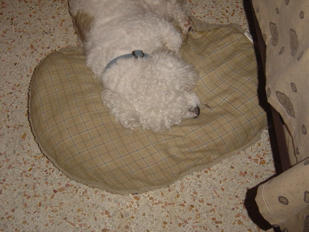 DSC00062.jpg