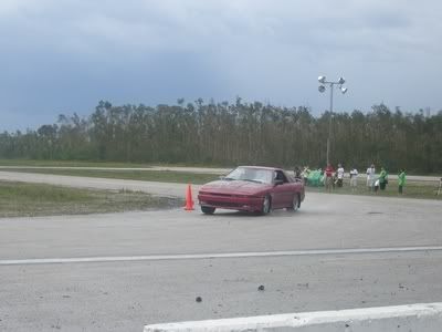 240shells017.jpg