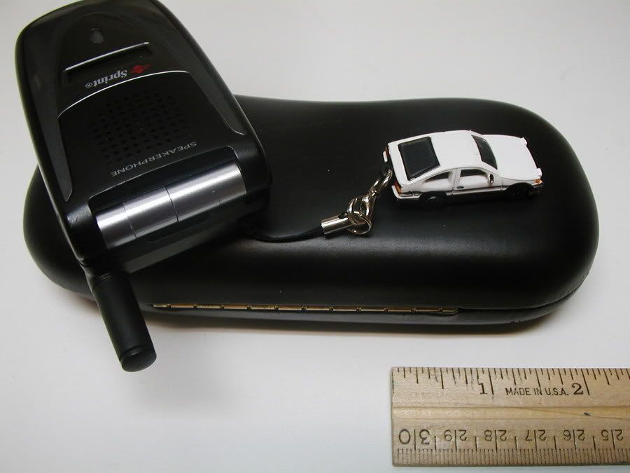 P1010028.jpg