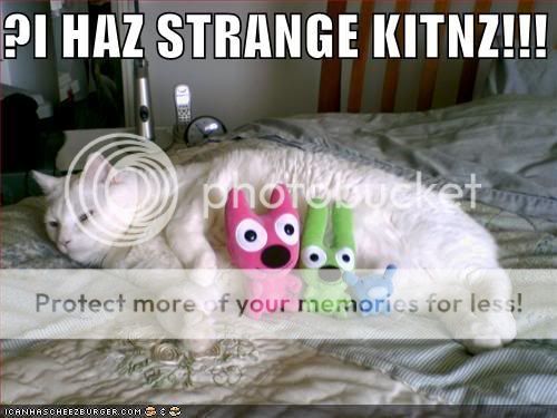 ihazstrangek.jpg