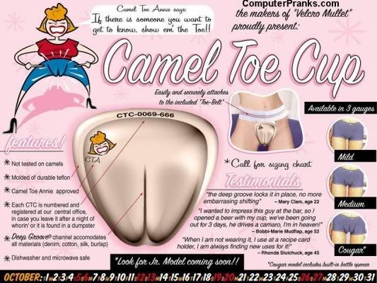 CAMELTOECUP.jpg