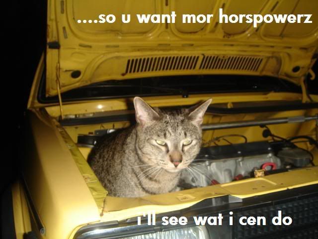 horspowerz.jpg