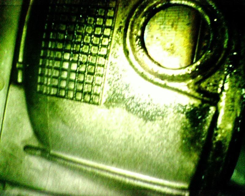 IMG00075.jpg