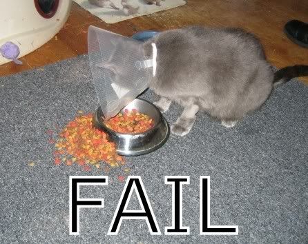fail2.jpg