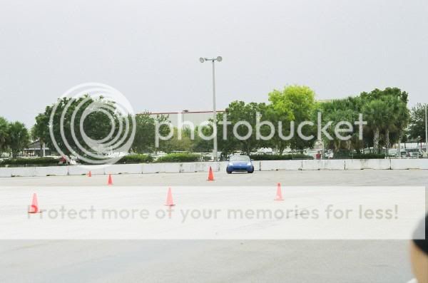 l_ecda35d725414972b4f773005cdcd5cb.jpg