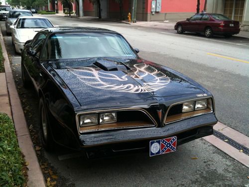 trans_am.jpg